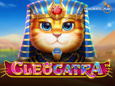 Bedava slot casino oyunları21